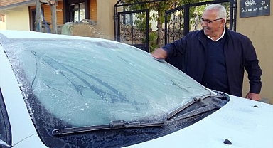 Araç camları ve bitkiler kırağı tuttu