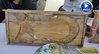 'Ay yıldızlı' arı kovanlarına yoğun ilgi 