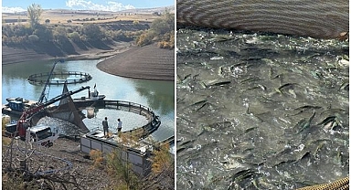 Bölgenin ekonomisine önemli katkı sunuyor