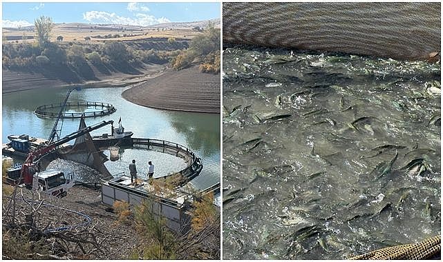 Bölgenin ekonomisine önemli katkı sunuyor