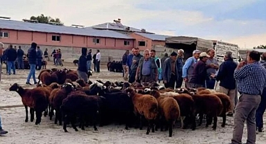 Doğu'da bir hayvan pazarı daha yeniden açıldı