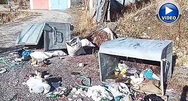 Erzurum'da ayılar köylüleri canından bezdirdi