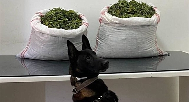 Erzurum'da onlarca kilo uyuşturucu ele geçirildi