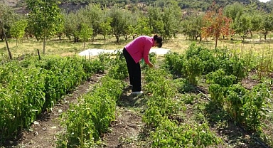 Fransa'dan köyüne döndü! Bakın ne için...