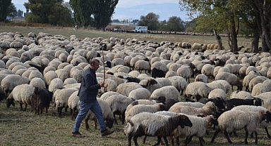 Göçerlerin yaylalardan dönüş yolculuğu sürüyor