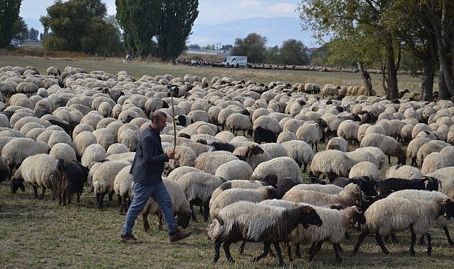 Göçerlerin yaylalardan dönüş yolculuğu sürüyor
