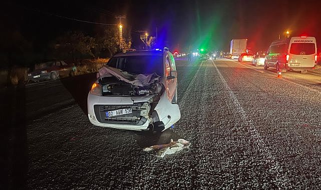 Hafif ticari aracın çarptığı yayanın acı sonu