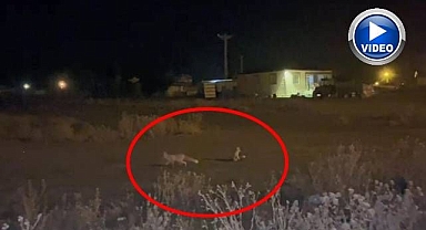 Havalar soğuyunca köye indiler!