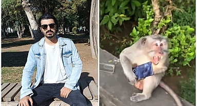 Kapkaççı maymun! Telefonla gözlük çaldı