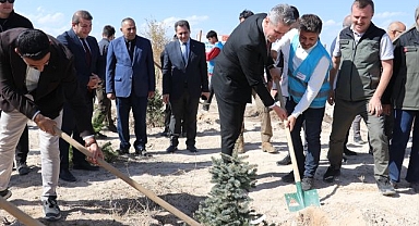 Karanlık günler bitti! Şimdi yeniden yeşerecekler...