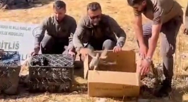 Keklik kaçakçılığına geçit verilmedi!