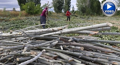 Köylerde kışlık odun hazırlığı