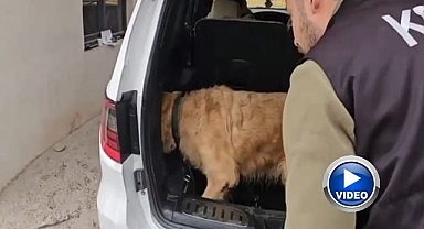 Lüks otomobilden çıkanlar şoke etti