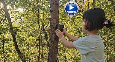 Minik kaşifin yaban hayatı ilgisi 