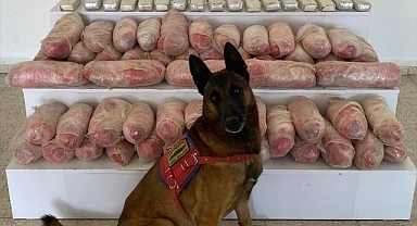 Onlarca kilo uyuşturucu ele geçirildi