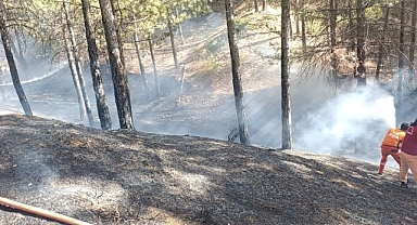 Orman yangını büyümeden söndürüldü!