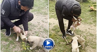 Oyun oynarken kafası sıkıştı