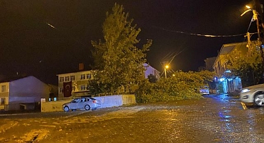 Rüzgarın devirdiği ağaç aracın üzerine düştü!