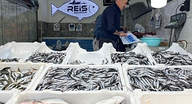Sezon açıldı: Balıklar tezgahta yerini aldı