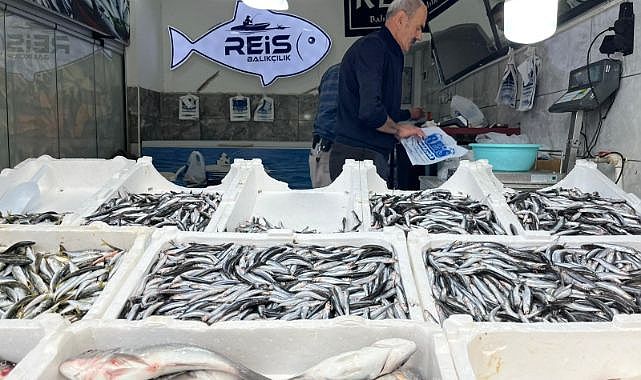 Sezon açıldı: Balıklar tezgahta yerini aldı