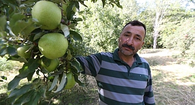 Soğuk şehrin sıcak sürprizi