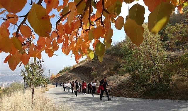 Sonbaharda doğal güzellikleri keşfediyorlar