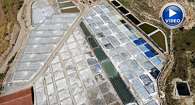 Su ekip tuz biçiyorlar!