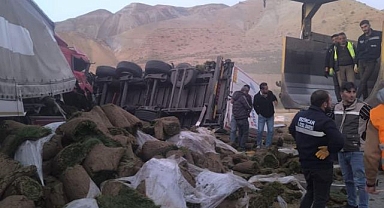 Tırlar çarpıştı, ortalık savaş alanına döndü!