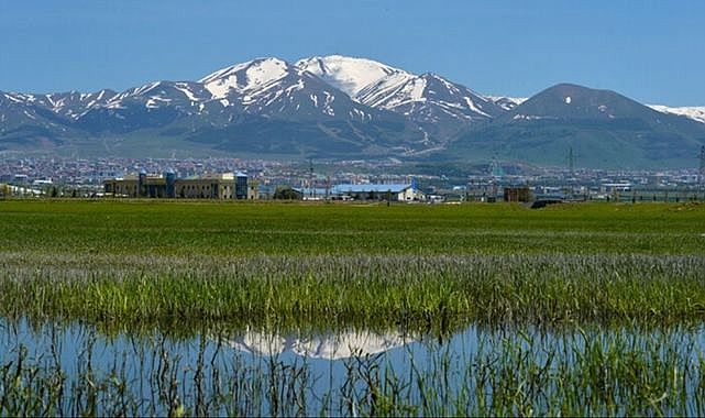 Türkiye kurudu Erzurum neme doydu