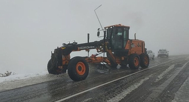 Turuncu kaplanların kar mesaisi başladı