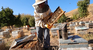 Üretim için köyüne dönüp arıcılığa başladı