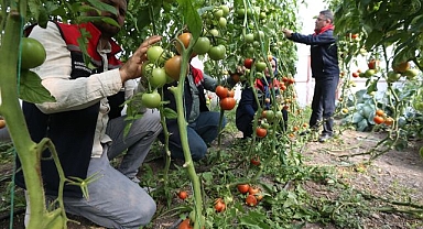 Vatandaşlar bu seradan ilham alıyor