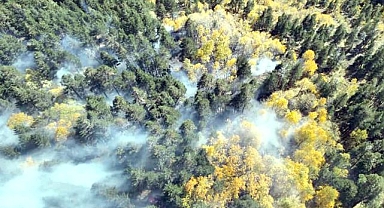 Yangının bilançosu ağır oldu