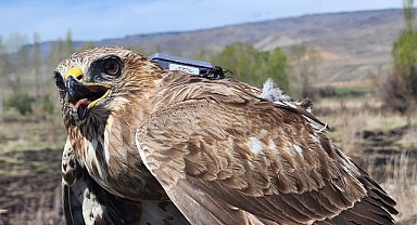 2,5 yılda 28 ülkede 103 bin 456 kilometre uçtu
