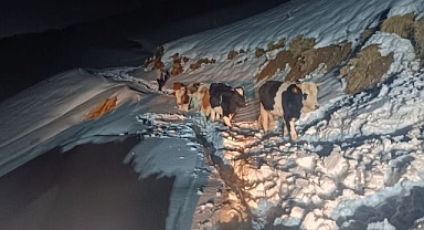 3 günlük kurtarma operasyonunda mutlu son