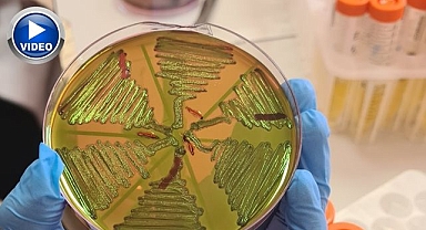 Aman dikkat! Çiğ süt tehlike saçıyor