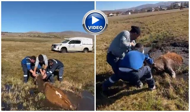 Arızaya giderken can kurtardılar!