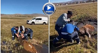 Arızaya giderken can kurtardılar!