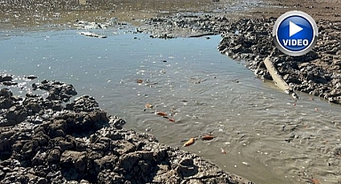 Balık teleflerine karşı gölete su takviyesi