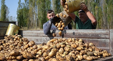 Beklenenin üzerinde olan rekolte yüz güldürdü