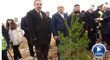 Binlerce ağaç geleceğe nefes oldu