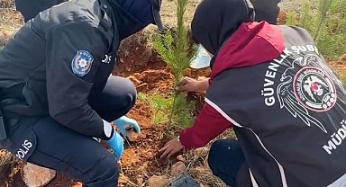 Binlerce fidan toprakla buluştu