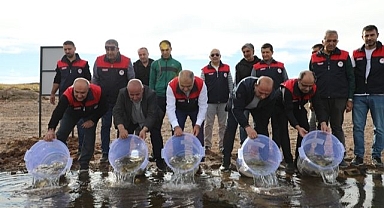 Binlerce sazan yavrusu göle bırakıldı