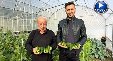 Boşaltılan köyler yeniden hayat buldu