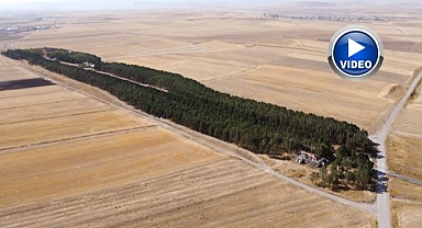 Bozkırın ortasındaki vaha havadan görüntülendi