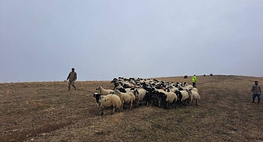 Çiftçinin imdadına jandarma yetişti!