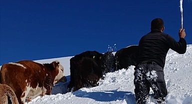 Dağda kaybolan sürüden sevindiren haber 