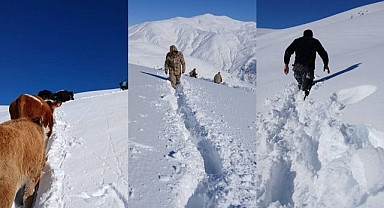 Dağda mahsur kaldılar! Yardımlarına ekipler koştu