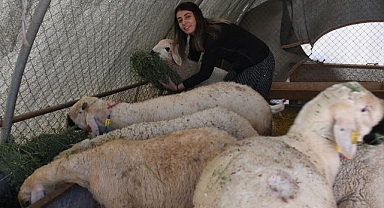 Devlet desteği ile başladı! Şimdiki hedefi ise...