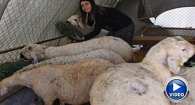 Devlet desteği ile başladı! Şimdiki hedefi ise...
